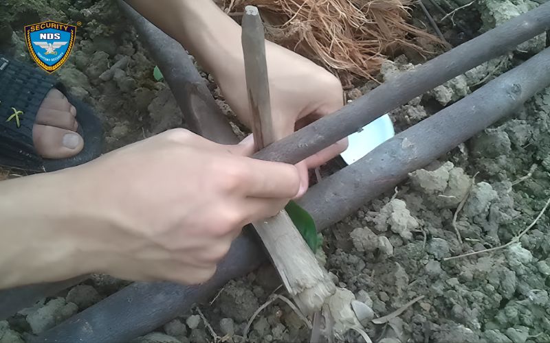 cách tạo ra lửa thời nguyên thủy