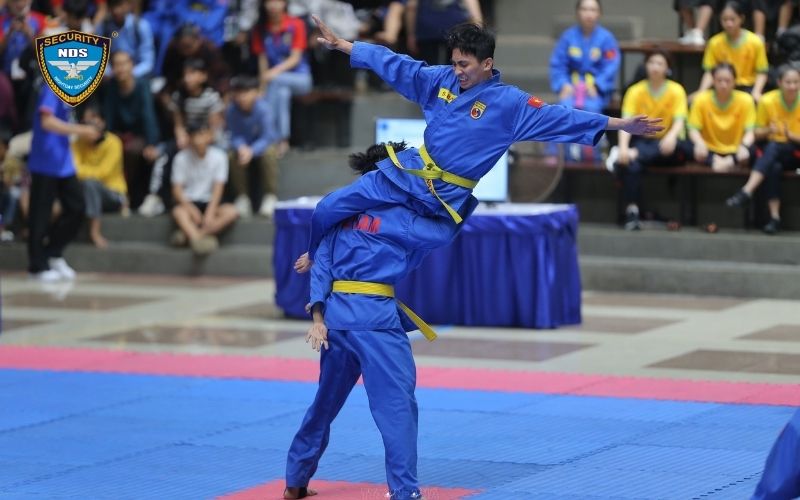 các loại võ thuật