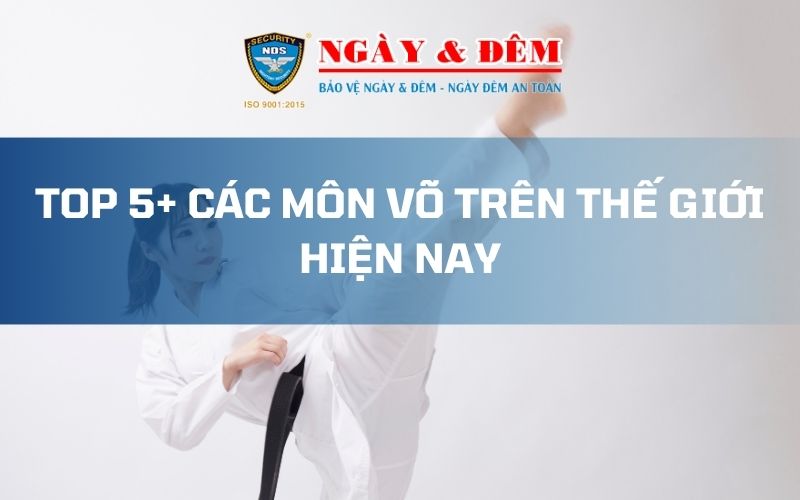 Các môn võ trên thế giới