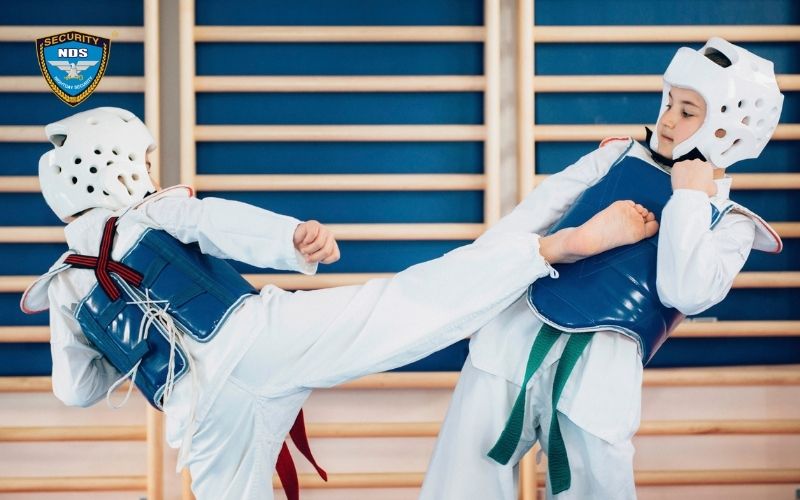 Có bao nhiều môn võ trên thế giới