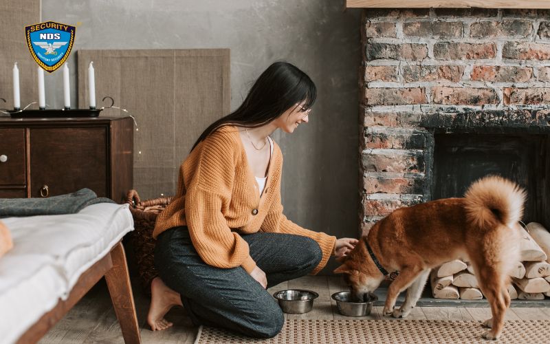 Nhà có trộm phải làm sao